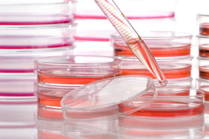 Embryonala stamceller och de svåra frågorna