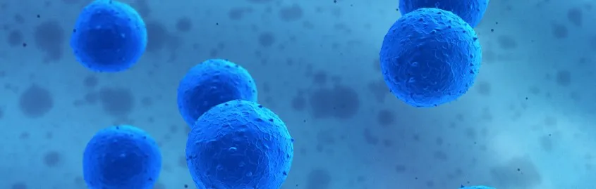 Varför stamcellsforskning väcker så starka etiska känslor